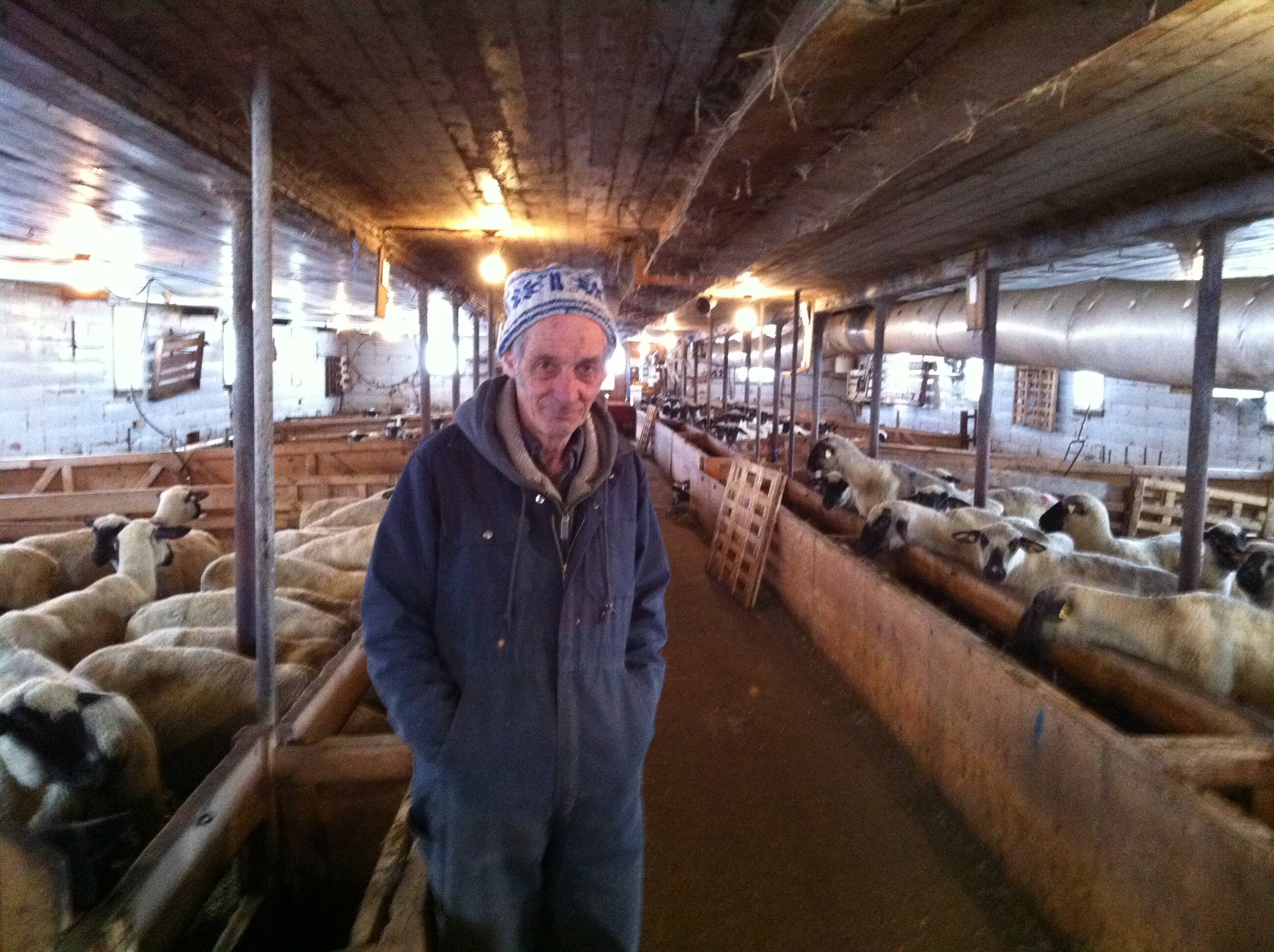 CBC.ca Radio Noon Montreal A virtual visit to Bob's farm